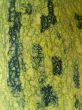 texture