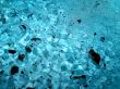texture