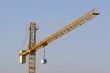 crane