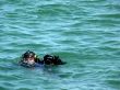 Military Diver On Mission