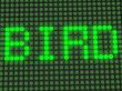 word on the electronic display