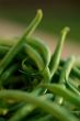 green close up