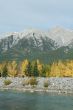 Kananaskis mountains, Bow River