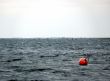Fishing Net Float