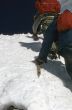 Climbers kicking steps up steep snow