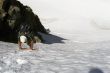 Descending steep glacier wall,