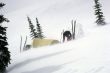 Snowstorm, camp on Mt St Helens