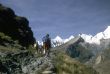 Hikers on rocky trail