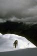 Climber ascending snowfield