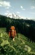 Hiker in meadow
