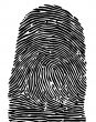  illustration.