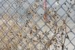 fence with dry weed