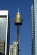 skyscrapers and sydney tower