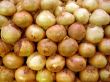 onion background