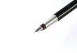 Business concept - pen