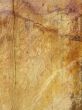 Grunge style background