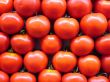 Tomato background