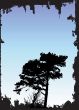 Tree Silhouette