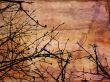 Grunge style background