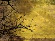 Grunge style background