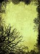 Winter Background