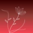 White flower on a red background