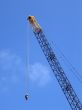 Crane