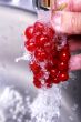 redcurrant