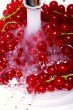 redcurrant