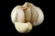 Fresh Garlic 2
