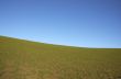grazing land and blue sky