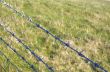 Barbed wire
