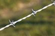 Barbed wire