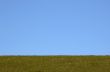 grazing land and blue sky