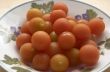 Cherry Tomato`s