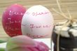 Easteregg