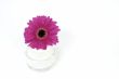 Cream with flower decoration