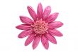 Paper flower