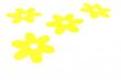 Yellow Flowers