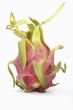 Pitahaya fruit