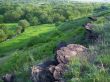 Landscape.