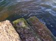 Water.