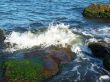 Water.