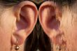 ear