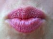 lips