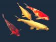 fauna
