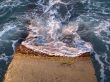 Water.