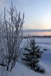 The Freezing day