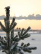 The Freezing day