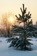 The Freezing day